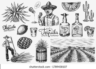Tequila bottle, shot with lime, blue agave Plant, barrel and root ingredient, farmer and harvest. Engraved hand drawn vintage sketch. Woodcut style. Vector illustration for menu or poster.