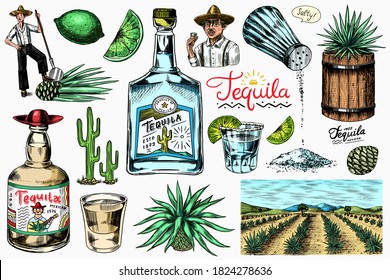 Tequila bottle, shot with lime, blue agave Plant, barrel and root ingredient, farmer and harvest. Engraved hand drawn vintage sketch. Woodcut style. Vector illustration for menu or poster.
