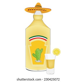 Tequila bottle, tequila shot, shots alcohol, cactus, mexican