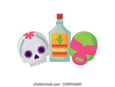 tequila bottle, traditional Mexican drink in white background vector illustration design
