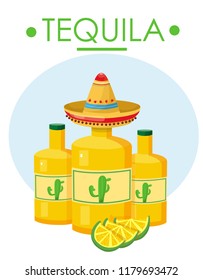 tequila in the bottle, vector illustration