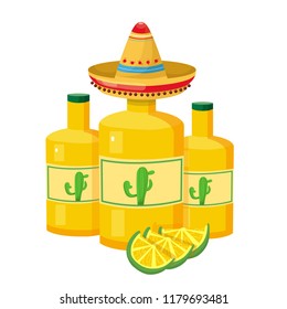 tequila in the bottle, vector illustration