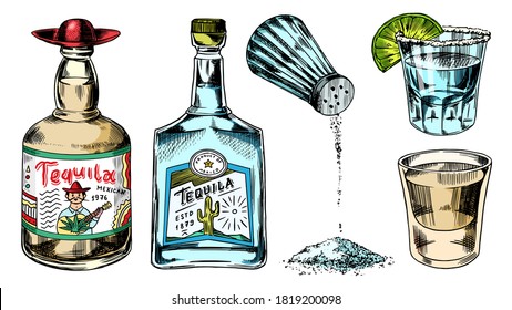 Tequila bottles and salt shaker. Glass Shots with Alcoholic Drink and Lime. Engraved hand drawn vintage sketch. Woodcut style. Vector illustration for menu or poster.