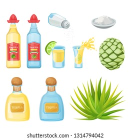 Tequila bottles, shot glass, salt and agave root ingredients, vector cartoon illustration. Mexican alcohol drinks and cocktails menu design elements.