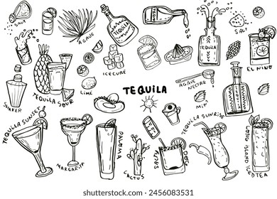 Tequila, cocktails based on it, agave hand drawn set. Vector illustration isolated on white background. For packaging, wall art, posters, branding,  magazines, book cover, blogs,  business, social