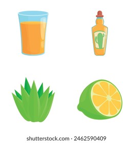 Tequila icons set cartoon vector. Traditional strong agave drink. Mexican alcohol