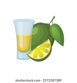 Tequila. An illustration of a shot glass with tequila and sliced lime slices. Strong alcoholic drink. A glass of tequila and lime. Vector illustration.