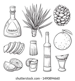 Tequila ingredients hand drawn monochrome illustrations set. Traditional mexican cocktail, alcohol drink. Bottles, agave root, shot glasses, lime and salt black and white sketch drawings pack