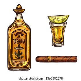 Tequila with lime and cigar sketch icons. Vector Mexican traditional alcohol drink bottle with sombrero cap and cactus and cigarette or Cuban Havana cigar