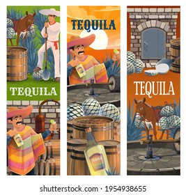 Tequila Mexican alcohol drink production banners, vector. Mexican man in sombrero and poncho with bottle of blue agave, tequila production farm, jimador worker, production process