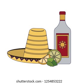 Tequila mexican drink