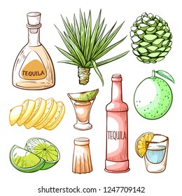 Tequila pub, mexican drink hand drawn set. Mexican alcoholic spirit made from an agave. Vector flat style cartoon illustration isolated on white background