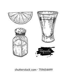 Tequila shot glass with lime and salt shaker. Mexican alcohol drink vector drawing. Sketch of shot glass cocktail with citrus fruit slice. Engraved illustration for label, icon, bar or restaurant menu