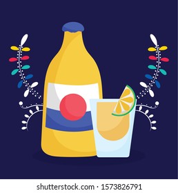 tequila shot lime mexican food, traditional celebration design vector illustration