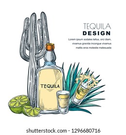 Tequila sketch vector illustration. Bar menu, label or package design. Bottle, shot glass, cactus, agave isolated on white background.