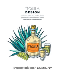 Tequila sketch vector illustration. Bar menu, label or package design. Bottle, shot glass, lime, agave isolated on white background