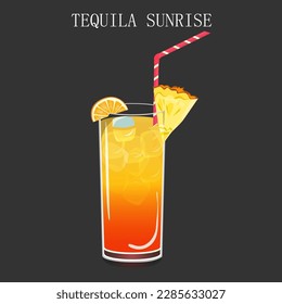 Tequila Sunrise cocktail in glass with orange slice and pineapple on dark background. Vector illustration EPS10