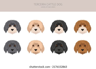 Terceira Cattle Dog Clipart. Different Poses, Coat Colors Set.  Vector Illustration