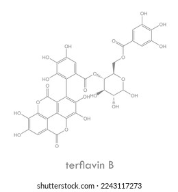 Terflavin b structure. Molecule of an ellagitannin, a type of hydrolysable tannin.