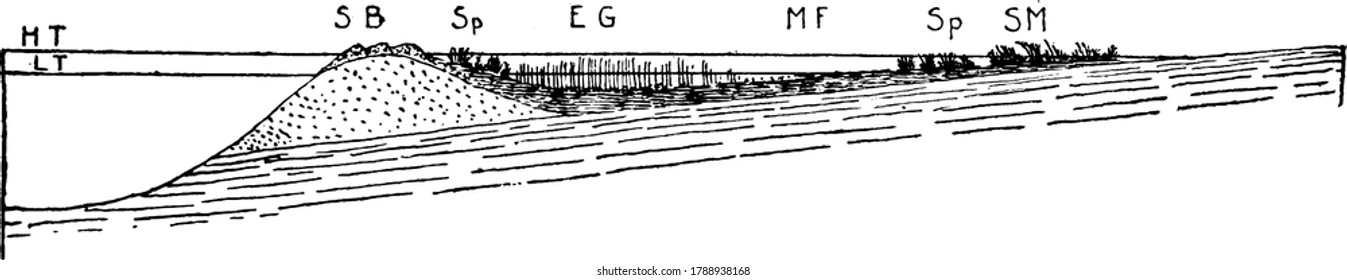 The term offshore bar has been used to describe both submerged bars, and emergent islands separated from a shoreline by a lagoon, features more correctly identified as barrier islands, vintage