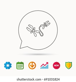 Terminal electrical clips icon. Charging the battery sign. Calendar, Graph chart and Cogwheel signs. Download and Shield web icons. Vector