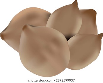 TERMINALIA BELLIRICA PLANT VECTOR DESIGN 