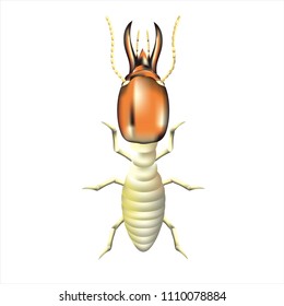 Termite Big Head Isolated White Background