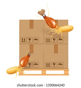 termite bites eat paper boxes brown isolated on white background, termites and wood pallet with cardboard boxes in factory warehouse, termites walking on corrugated case, termite on crate damaged box
