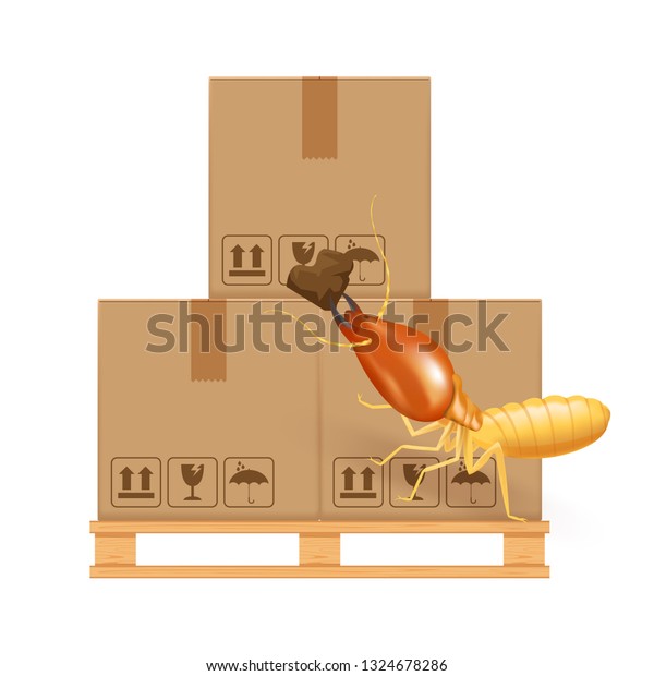 termite bites eat paper boxes brown isolated on white\
background, termites and wood pallet with cardboard boxes in\
factory warehouse, termites walking on corrugated case, termite on\
crate damaged box