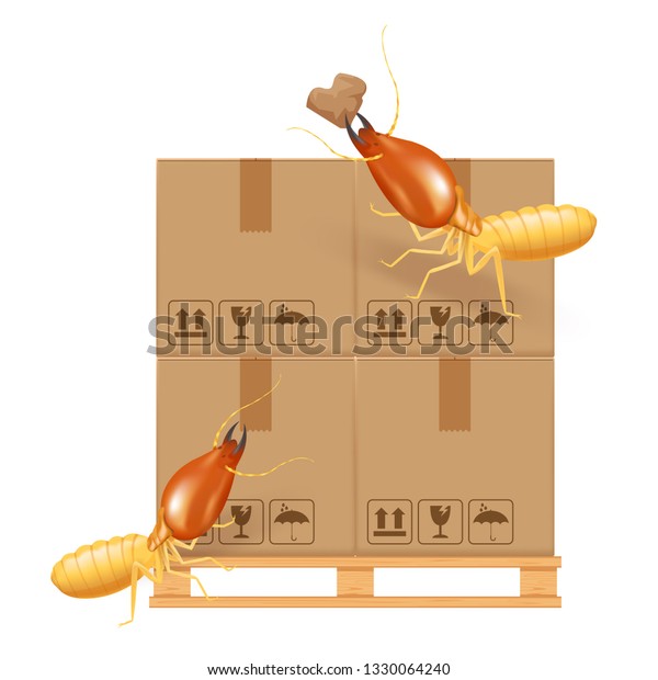 termite bites eat paper boxes brown isolated on white\
background, termites and wood pallet with cardboard boxes in\
factory warehouse, termites walking on corrugated case, termite on\
crate damaged box