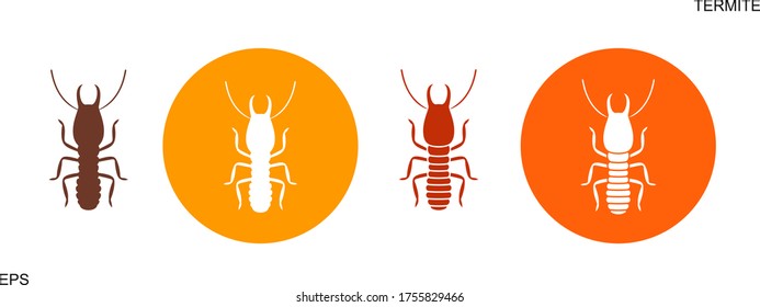 Termite danger sign. Isolated termite on white background