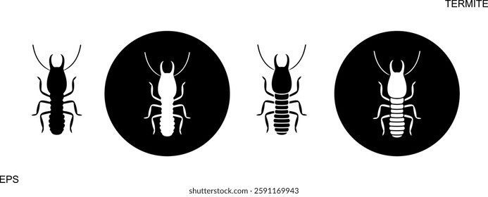 Termite danger sign. Isolated termite on white background