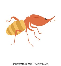 Termite. Flat illustration. Graphic design on white background.