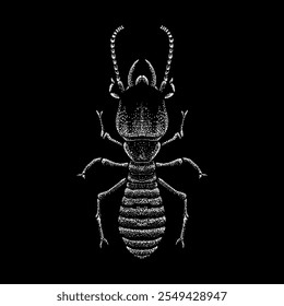 termite hand drawing vector isolated on black background.