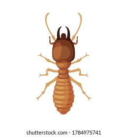 Termite Harmful Insect, Pest Control and Extermination Concept Vector Illustration on White Background