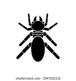 termite icon, termite vector sign symbol