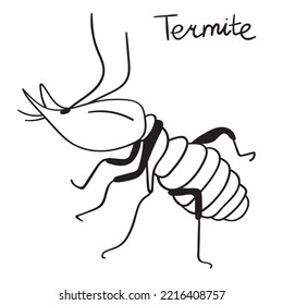 Termite. Illustration. Outline graphic design on white background.