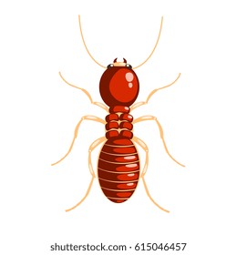 Termite insect colorful cartoon character
