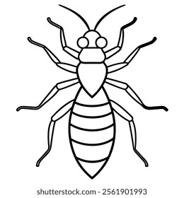 Termite insect flat vector illustration on white background