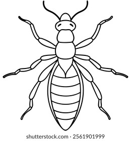 Termite insect flat vector illustration on white background