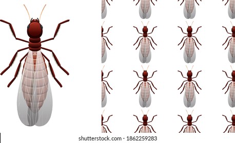 Termite insects isolated on white background and seamless illustration