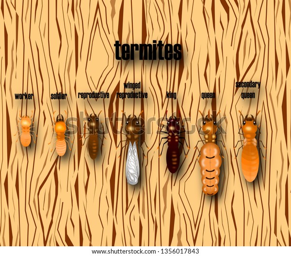 termite life cycle with wood
background,cartoon
style,vector.