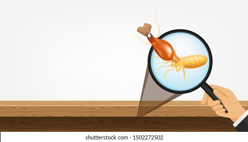 termite in magnifying glass and wooden isolated on gray background, magnifying glass with termite for banner copy space, termite zoom concept and damage house, infestation from termites colony
