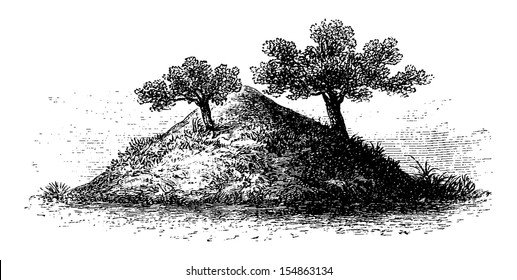 Termite Mound in Southern Africa, 4 meters high and covered by vegetation, engraving based on the English edition, vintage illustration. Le Tour du Monde, Travel Journal, 1881