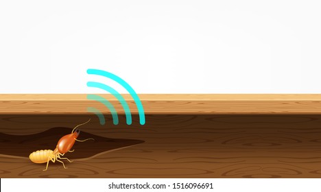 termite nest in wood and sound wave symbol, termites destroy table, door, and window in the wooden house, termites bite the wood wall, termite burrows, termite hole in wooden furniture for copy space