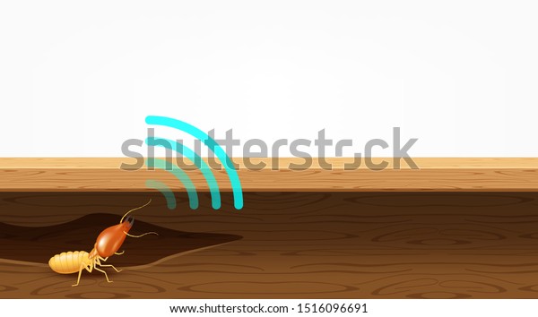 termite nest in wood and sound wave symbol,
termites destroy table, door, and window in the wooden house,
termites bite the wood wall, termite burrows, termite hole in
wooden furniture for copy
space