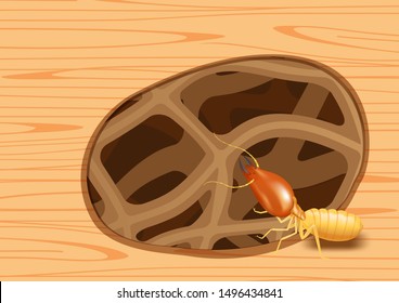 termite nest at wooden wall, burrow nest termite and wood decay, texture wood with nest termite or white ant, background damaged wooden brown eaten by termite or white ants illustration