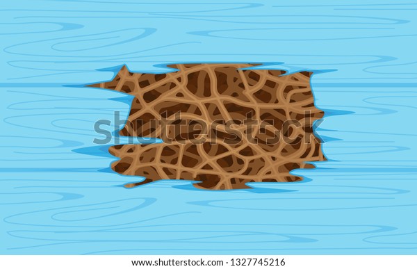 termite nest at wooden wall, burrow nest\
termite and wood decay, texture wood with nest termite or white\
ant, background damaged white wooden eaten by termite or white ants\
illustration