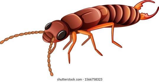 Termite On White Background Illustration Stock Vector (Royalty Free ...