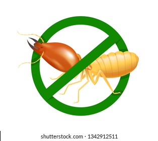 Termite In Prohibited Green Circle Sign Isolated On White Background, Logo Insects Termite, Termite Prohibition Symbol For Flat Icons Info Graphic, Illustration Termites Icon Chemical Spray Products